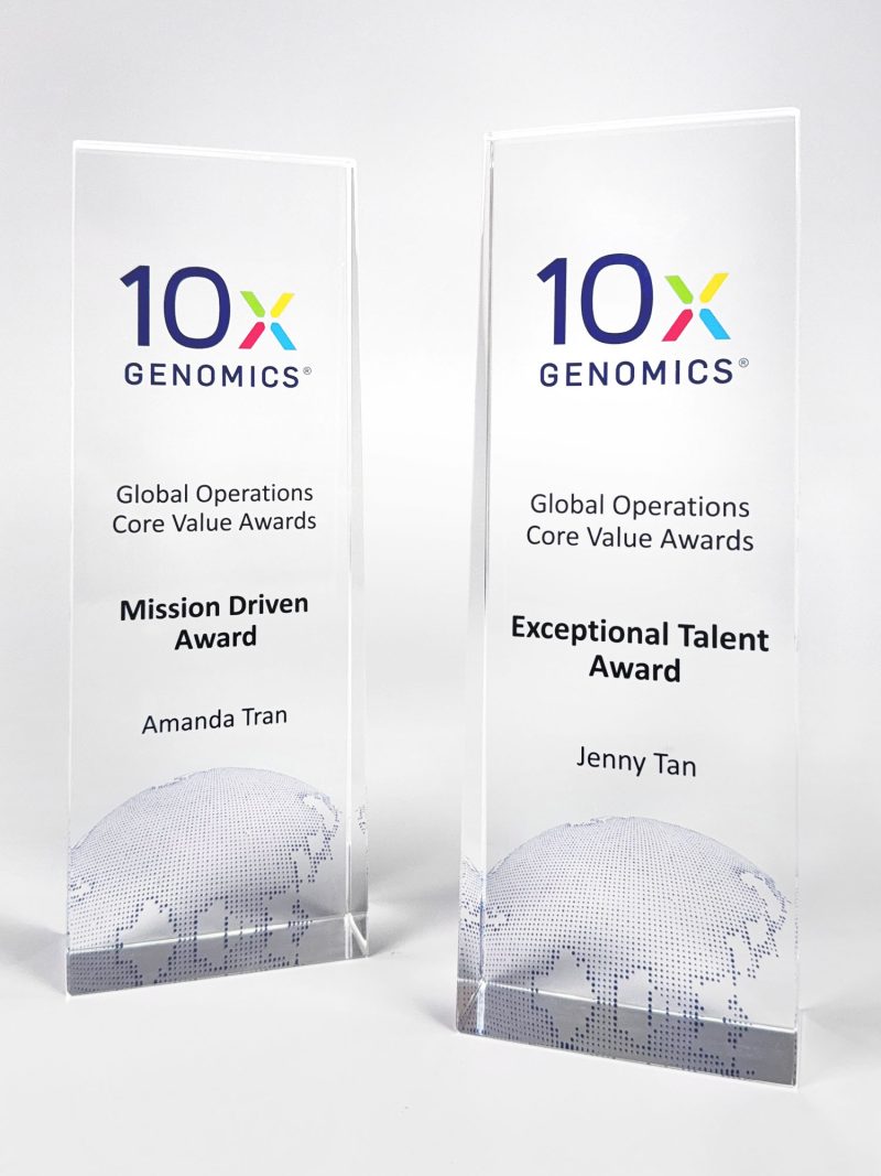 Global recognition awards (CA-297) Global recognition awards (CA-297)