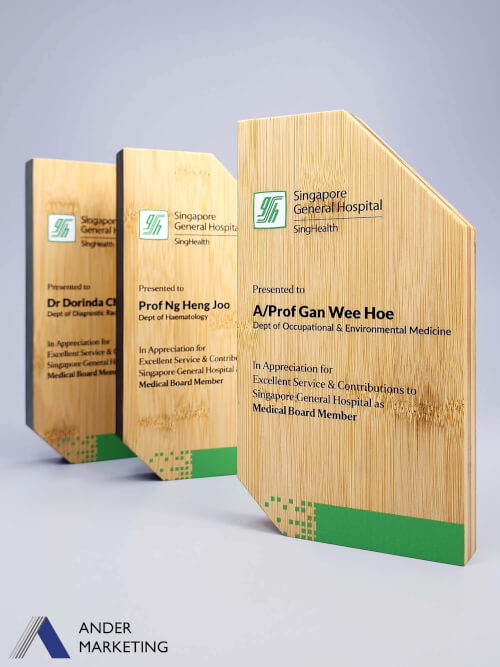 Bamboo Award - Ander Marketing Singapore