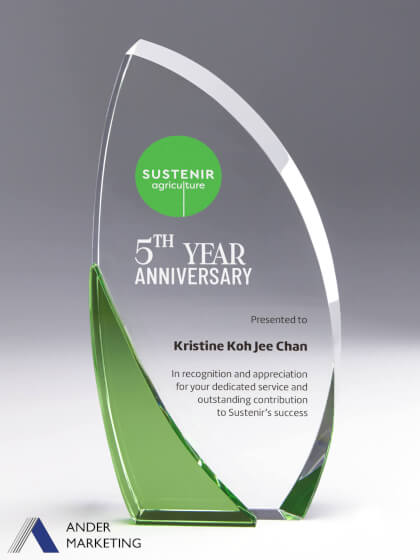 Crystal Trophy Award Crystal Trophy Award - Ander Marketing Singapore