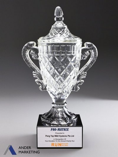 Crystal Trophy Award Crystal Trophy Award - Ander Marketing Singapore