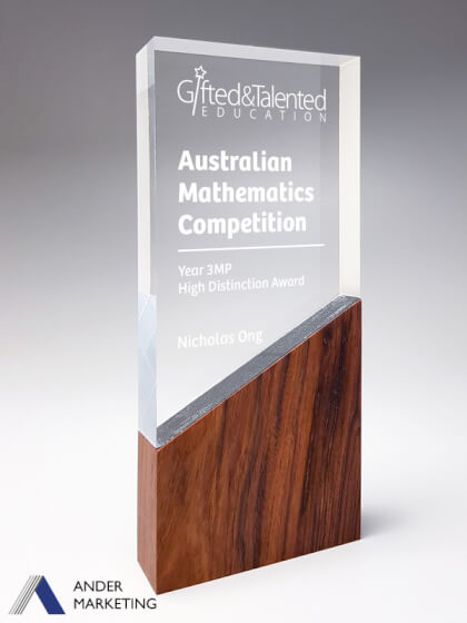 Modern Trophy Award Modern Trophy Award - Ander Marketing Singapore