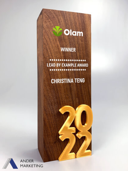Modern Trophy Award Modern Trophy Award - Ander Marketing Singapore