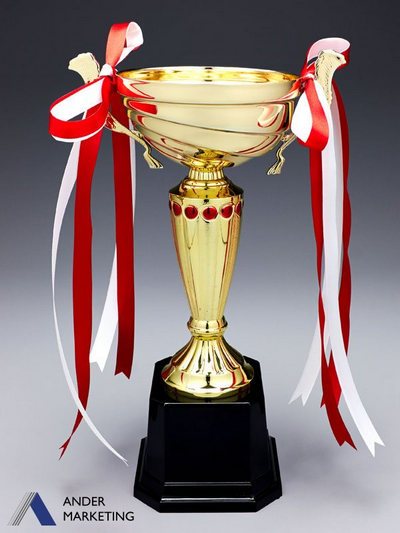 Trophy Awards Trophy Awards - Ander Marketing Singapore