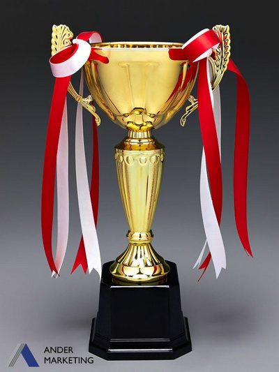 Trophy Awards Trophy Awards - Ander Marketing Singapore
