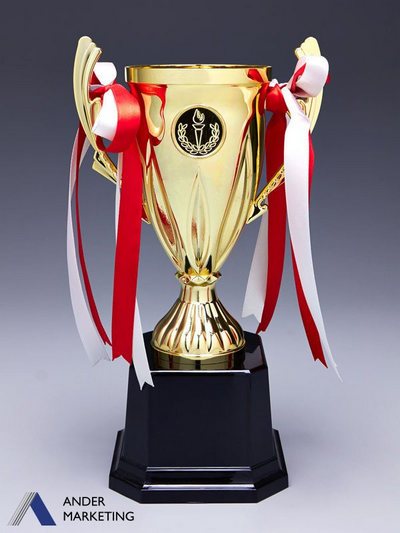 Trophy Awards Trophy Awards - Ander Marketing Singapore