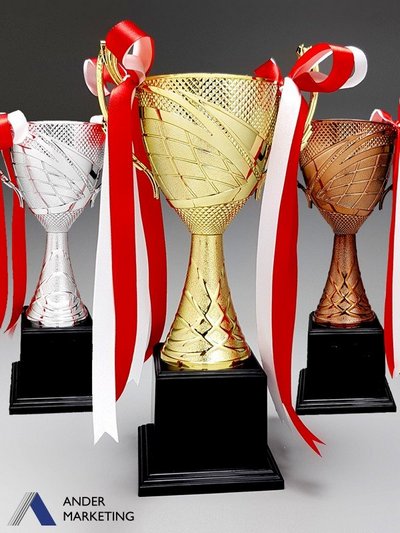 Trophy Award Trophy Award - Ander Marketing Singapore
