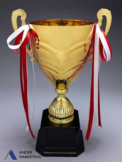 Trophy Awards TC-33S Trophy Awards TC-33S - Ander Marketing Singapore