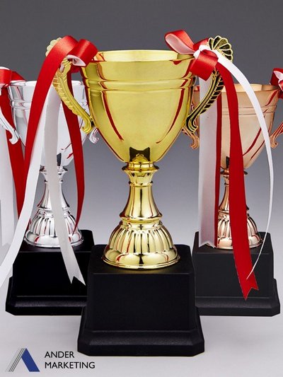 Trophy Award Trophy Award - Ander Marketing Singapore