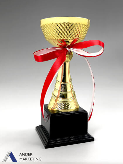 Trophy Award Trophy Award - Ander Marketing Singapore