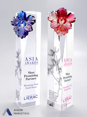 Crystal Trophy Award - CA-262 Ander Marketing Singapore