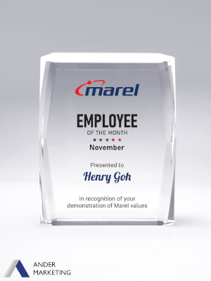 Crystal Trophy Award - CA-372 Ander Marketing Singapore