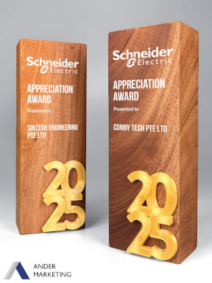 Modern Trophy Award - MW-30 Ander Marketing Singapore