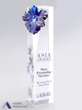 Crystal Trophy Award - Ander Marketing Singapore