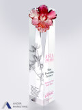 Crystal Trophy Award - Ander Marketing Singapore
