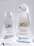 Crystal Trophy Award - Ander Marketing Singapore