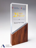 Modern Trophy Award - Ander Marketing Singapore