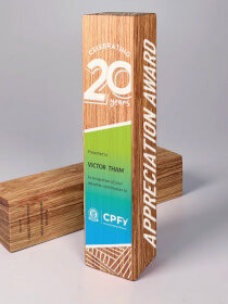 Modern Trophy Award - Ander Marketing Singapore