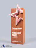 Modern Trophy Award - Ander Marketing Singapore